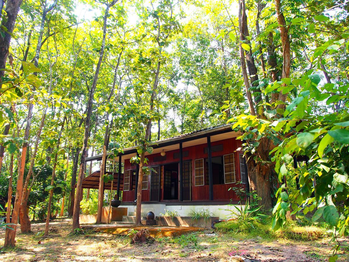 Golden Teak Homestay 湄林 外观 照片